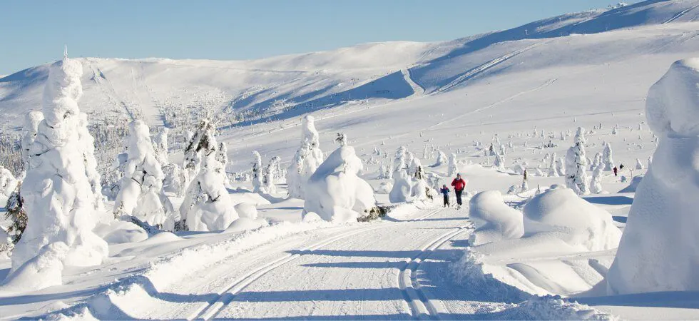 Skiferie i Trysil - langrend i terrænet