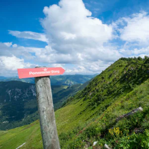 Et træskilt med "Panorama-Steig" i hvid tekst peger mod en frodig grøn bjergskråning under en delvist overskyet blå himmel, der fanger essensen af Sommerferie i Westendorf. Landskabet byder på en blanding af græsklædt terræn og fjerne bjerge.