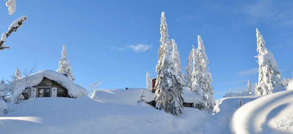 Skiferie i Sverige - hytter dækket af sne