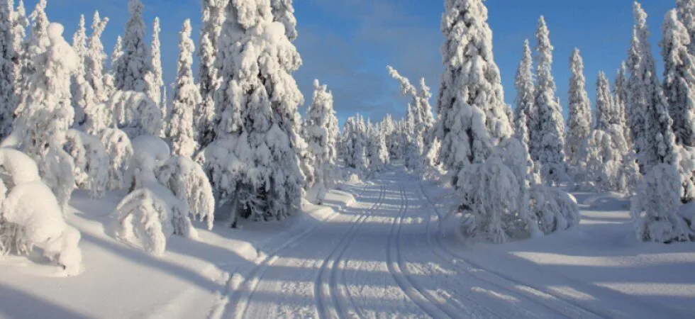 Skiferie i Sverige - langrendsløjpe