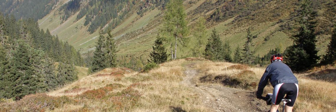 Sommerferie i Saalbach - mountainbike på vej ned af bjerget