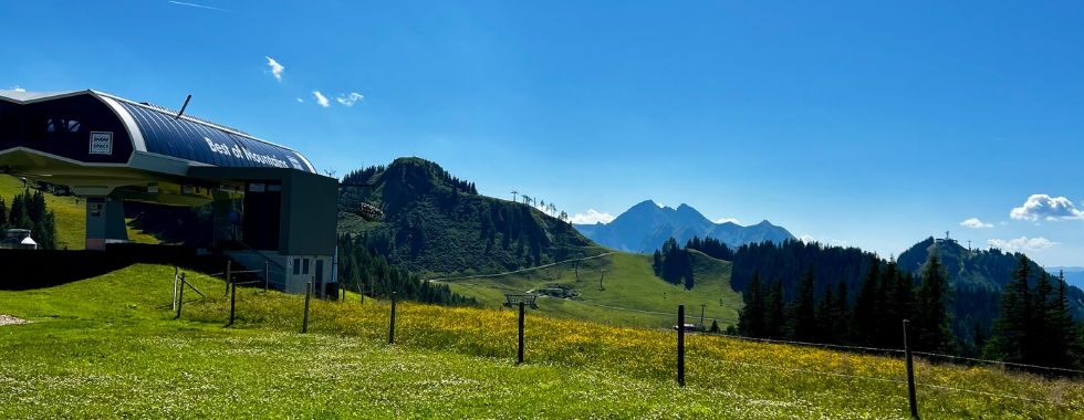 Grafenberg om sommeren