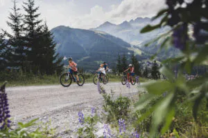 Bike_and_Hike_Sattelkopf_Sommer © TVB St. Anton am Arlberg_Patrick Bätz (2)