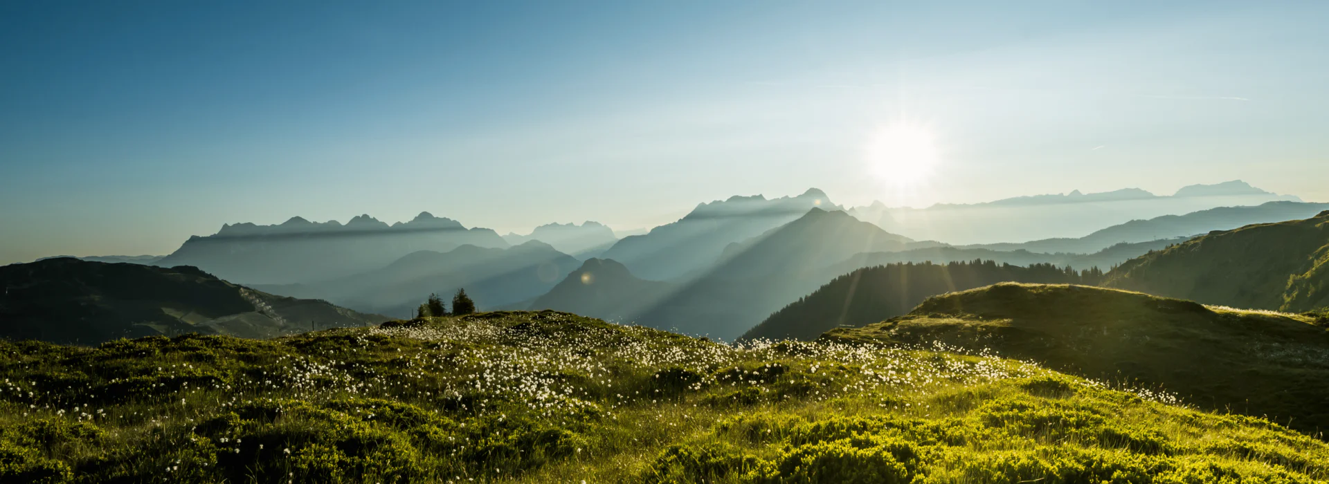 En panoramaudsigt over solbeskinnede bjerge med en skarp sol nær horisonten, der kaster lange skygger hen over landskabet. Forgrunden har frodige, grønne enge plettet med små hvide blomster.