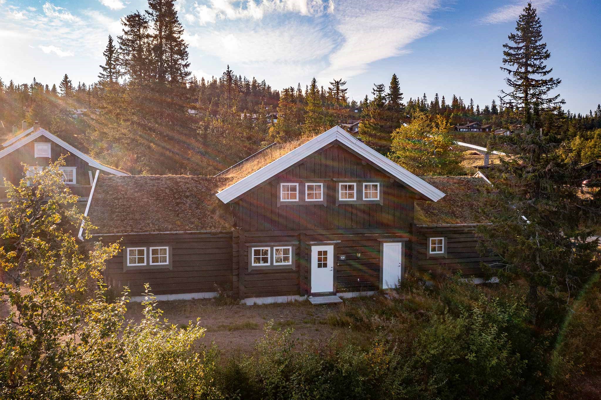 En rustik træhytte med et mosdækket tag ligger blandt høje fyrretræer under en delvist overskyet himmel med sollys, der strømmer gennem træerne.