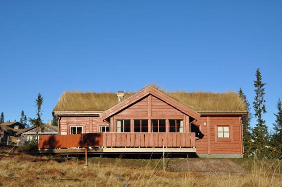 En træhytte med et græsdækket tag står under en klar blå himmel, omgivet af tørt græs og et par stedsegrønne træer i baggrunden.