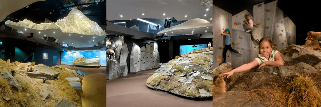 Tre museumsudstillinger viser naturlige landskaber. Til venstre og i midten vises dioramaer af klippet terræn, der minder om sommerferie Østrig, komplet med planter og smådyr. Til højre interagerer et barn med en udstoppet murmeldyr på en sten.