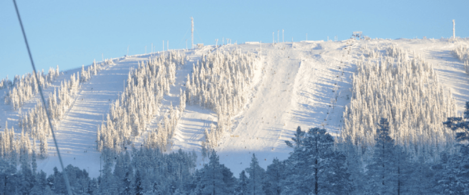 En snedækket bjergskråning glimter i sollyset ved Saalbach, med tydeligt synlige skiløjper og spredte træer. Den blå himmel fremhæver vinterlandskabet og skaber en fredfyldt og indbydende atmosfære til vintersport.